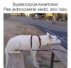 Superpozycja 3 w 1