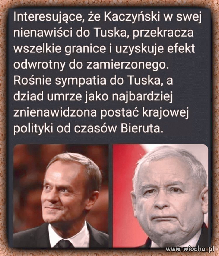 Kacza kreatura