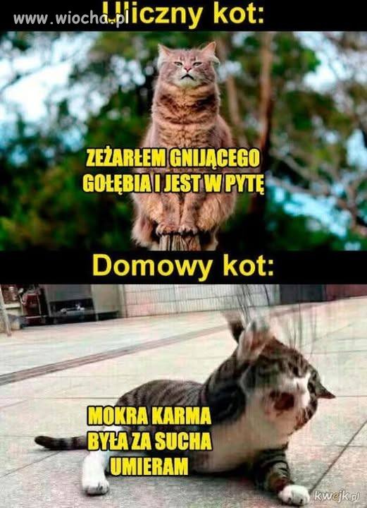 Tak jest