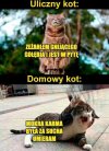 Tak jest