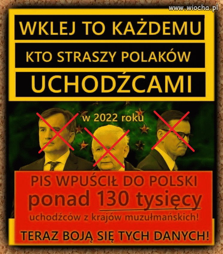 Lud pisowski i tak powie "wina Tuska"