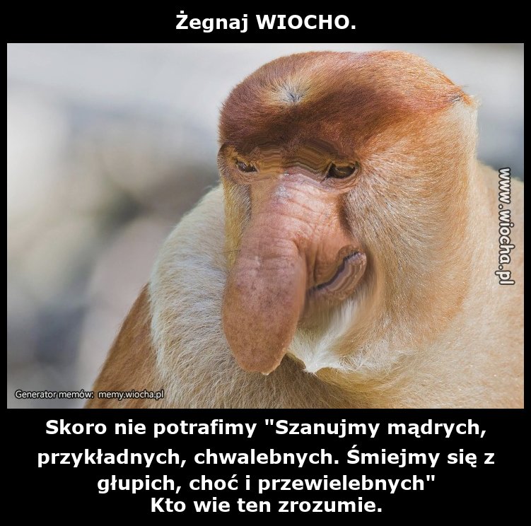 Żegnaj WIOCHO.