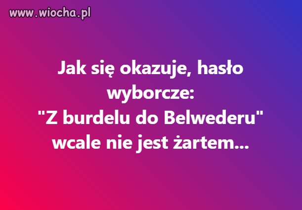 Oszałamiająca kariera!