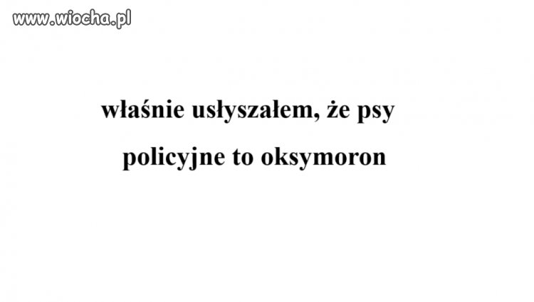 Ktoś coś?