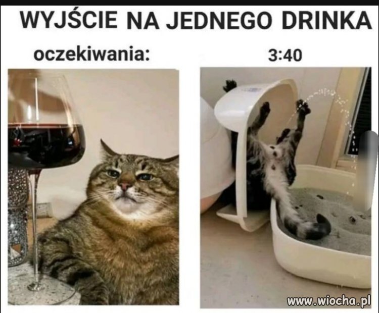 Kochanie idę z koleżankami 