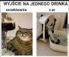 Kochanie idę z koleżankami 