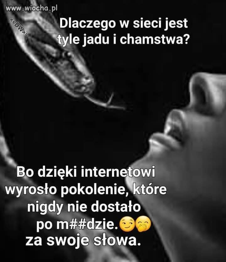 Co fakt to fakt