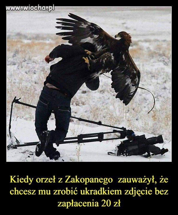 Za darmo
