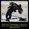 Za darmo