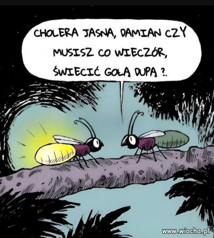 Bez polityki od