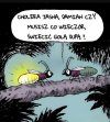 Bez polityki od