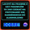 Dokładnie tak