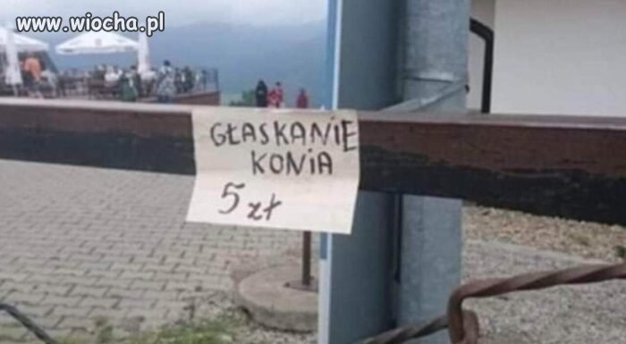 Kolejna dziwna "usługa" w Zakopanem. 