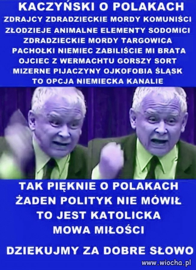 Patriota psia jego mać