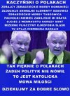Patriota psia jego mać