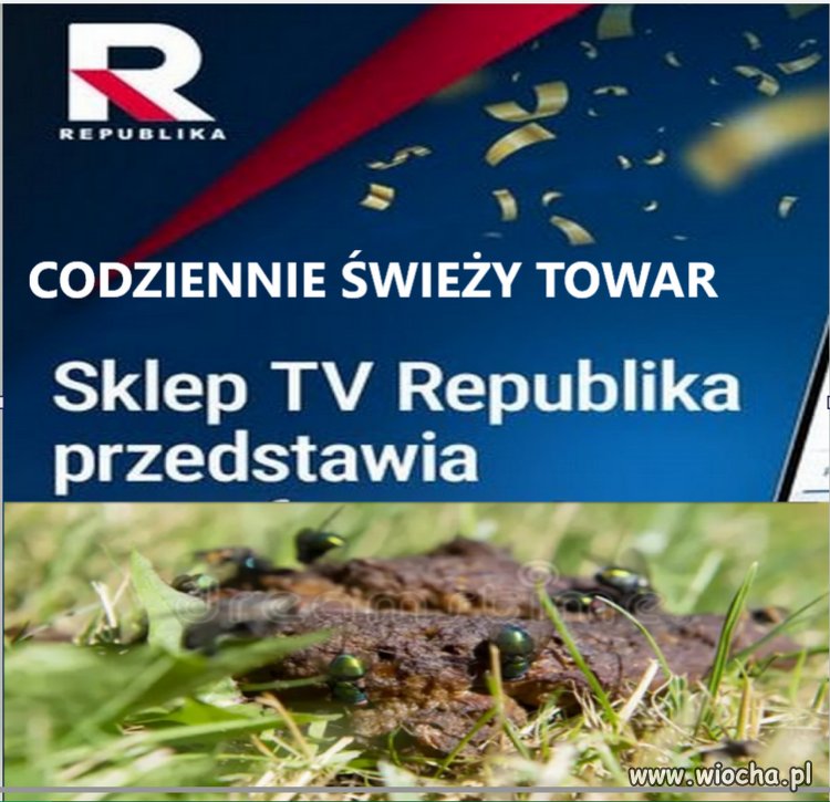 Świeży towar dla pisowców