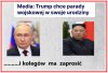 Jak widać trampek