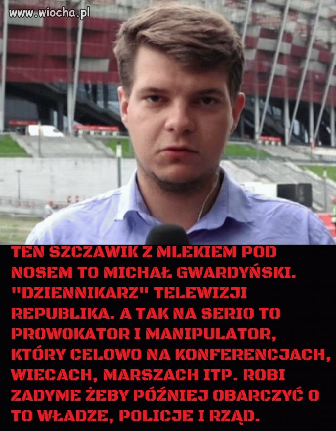 Pisowski fanatyk