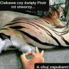 Pukając do nieba bram. 