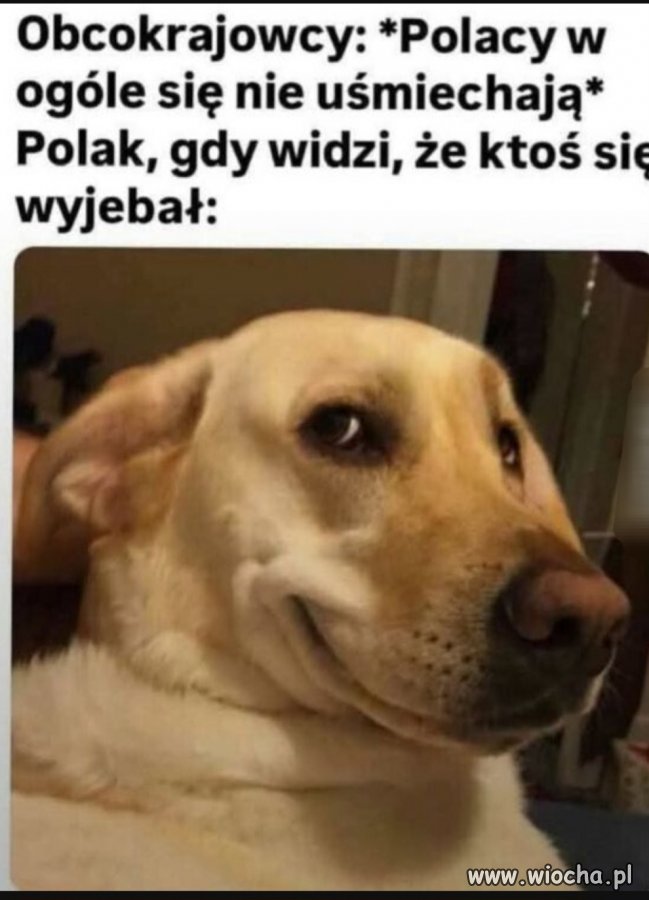 Bo Polacy się nie śmieją 