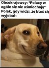 Bo Polacy się nie śmieją 