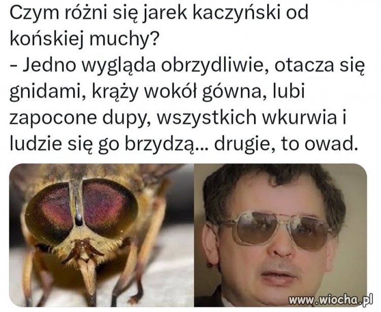 Czy wiesz ?