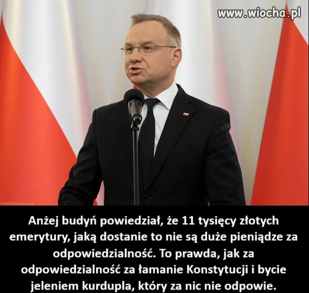 Główny frajer zgniłej zmiany