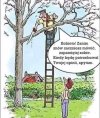 Nie dyskutuj;)
