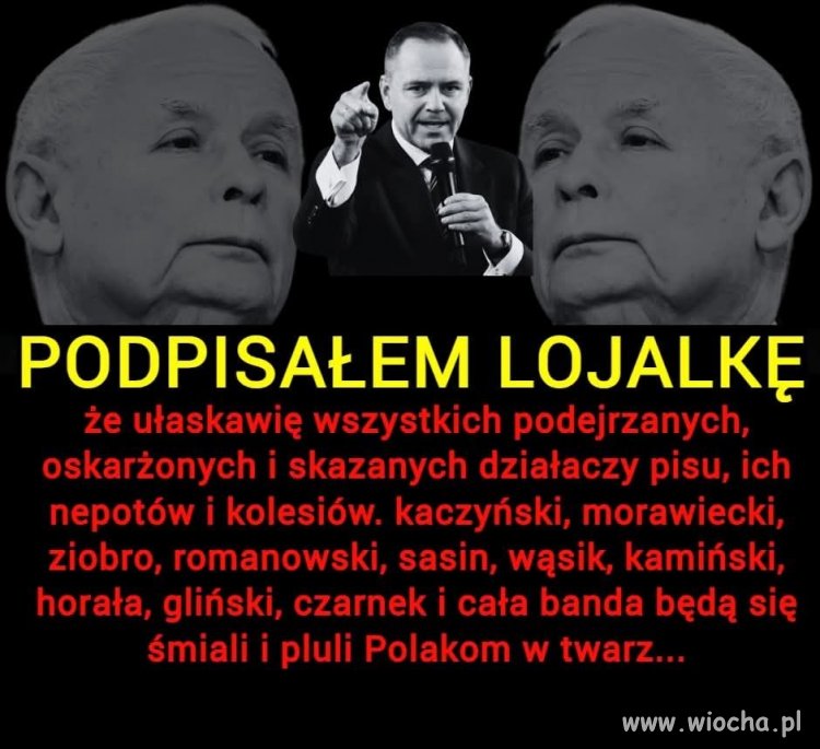 Jego zadanie: chronić PiSowskich złodziei i szkodzić Polsce!