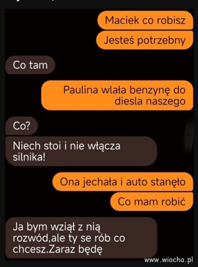 Prawdziwy skarb 