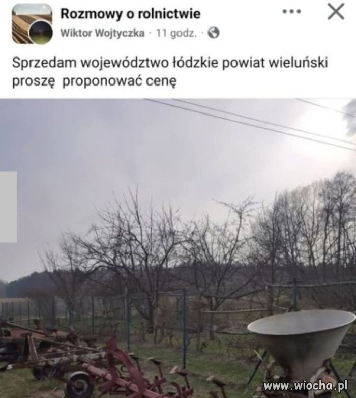 Łódź na sprzedaż