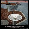 Analfabetyzm w Polsce XXI wieku