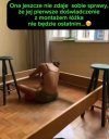 Samodzielna niezależna.