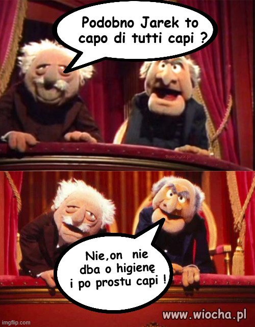 Zdaniem ekspertów