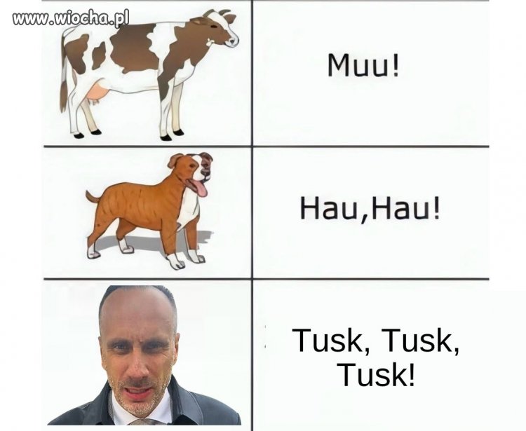 Miłego wieczoru