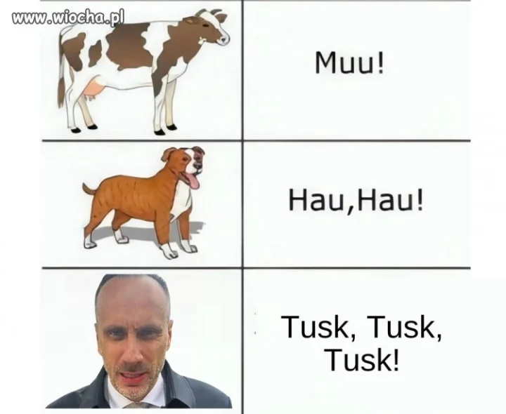 Miłego wieczoru