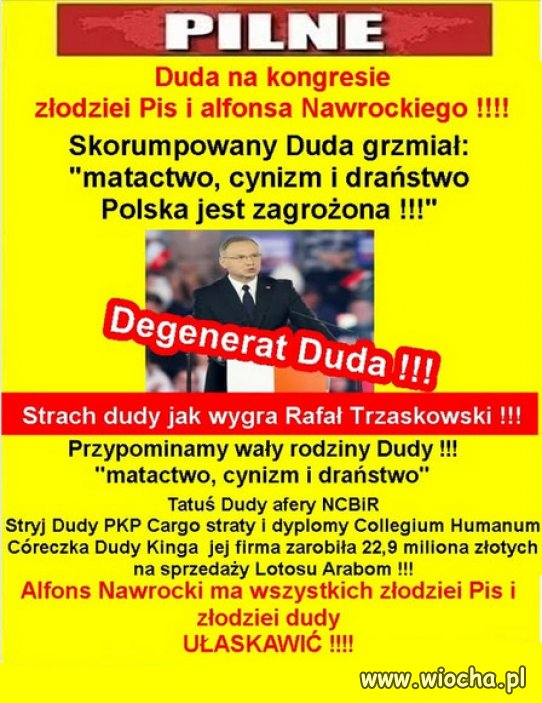 Panika i desperacja w szeregach PiSu!