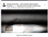 Myślicie,że grób Joszki jest w Jerozolimie?