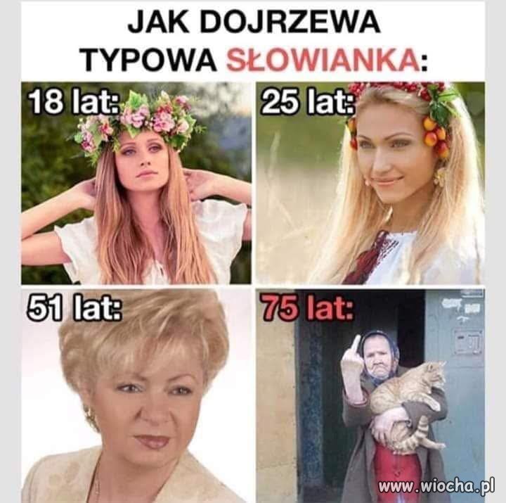 Potwierdzam