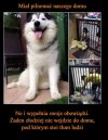 Tak jest