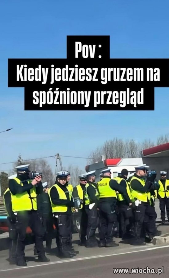 Mają jakiś szósty zmysł