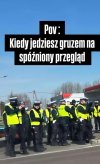 Mają jakiś szósty zmysł