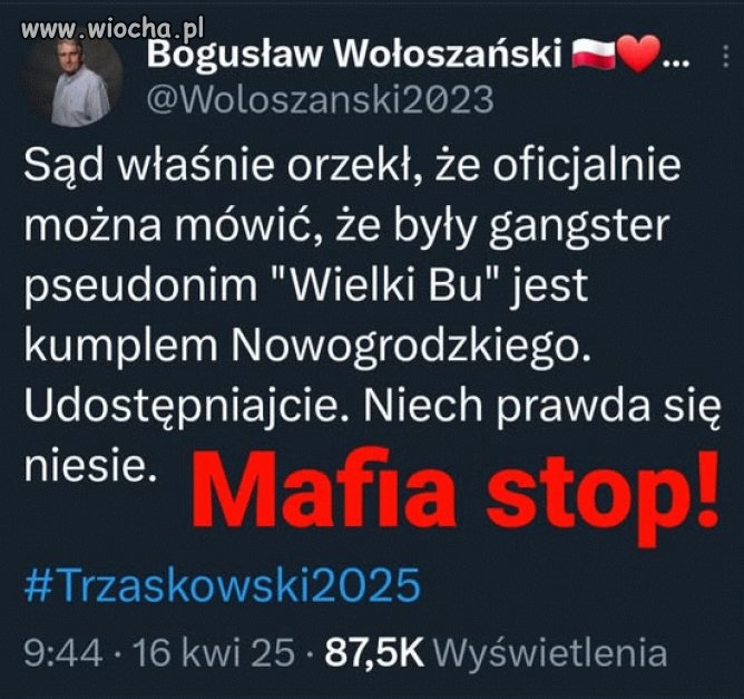 Pisowski kandydat na prezydenta