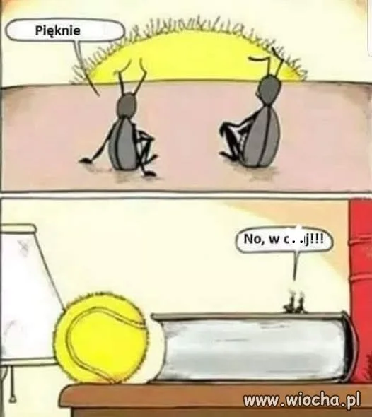 Perspektywa
