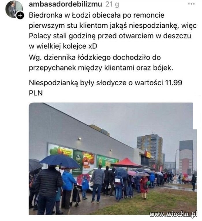 Naiwny naród