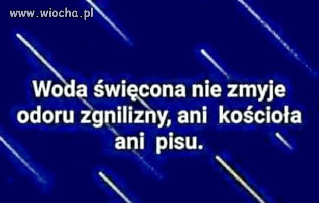 Potwierdzam