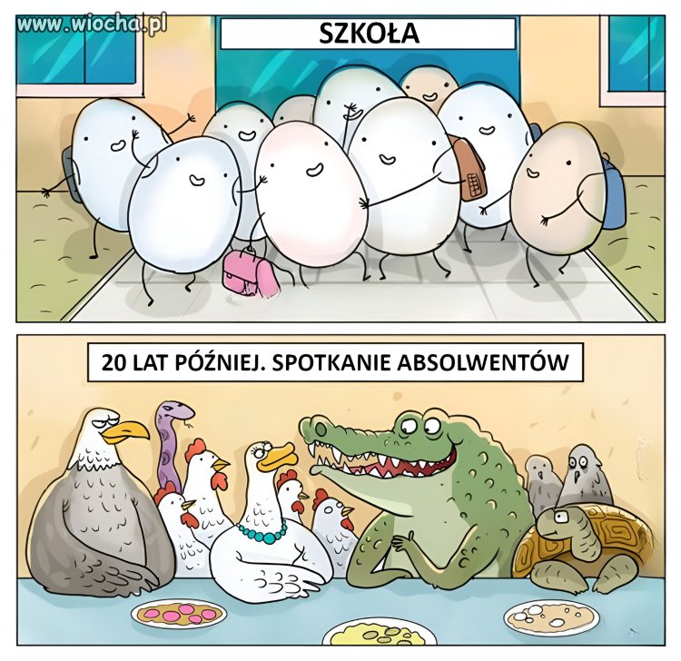 Świetne przesłanie