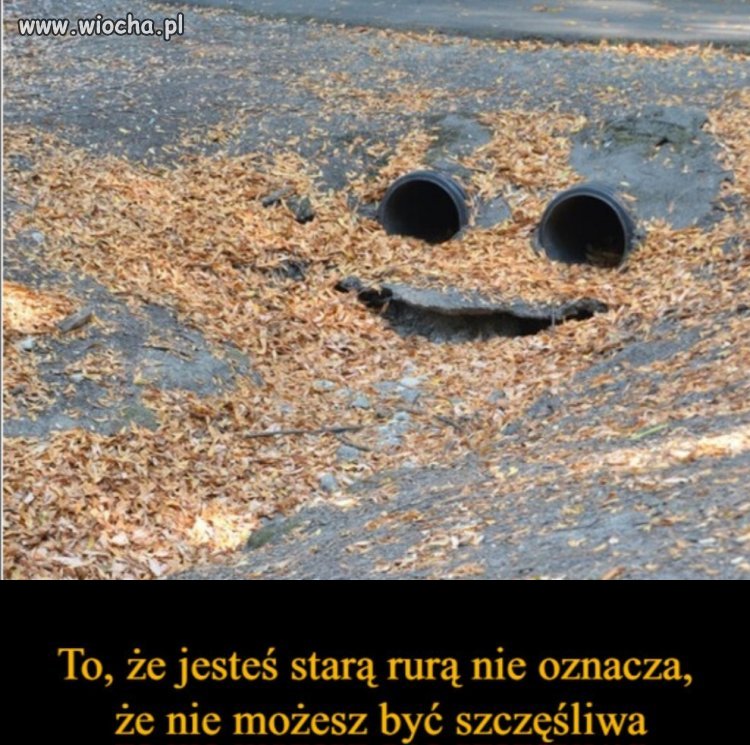 Bez polityki 