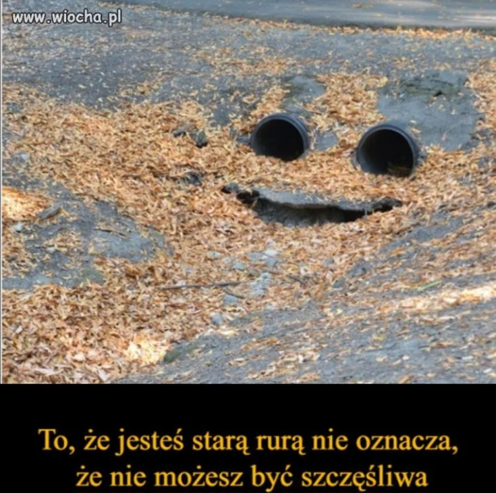 Bez polityki 