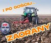 Chyba każdy to rozumie